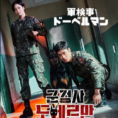 軍検事ドーベルマン DVD  [並行輸入品]