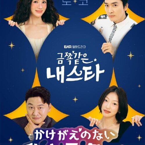 かけがえのない私のスター 全話 DVD  [並行輸入品]