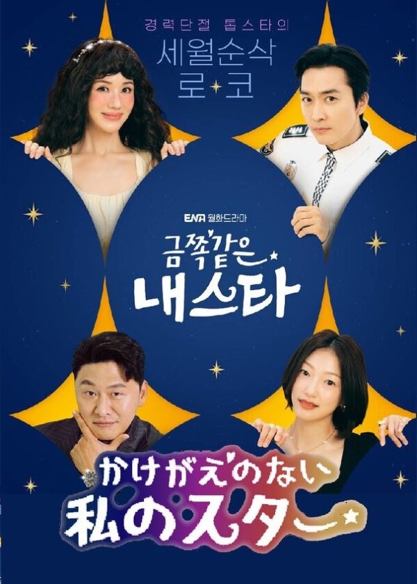 かけがえのない私のスター 全話 DVD  [並行輸入品]