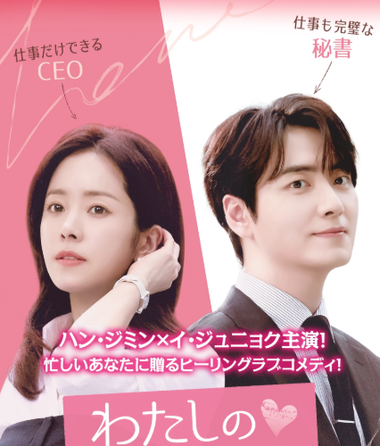 わたしの完璧な秘書 DVD  [並行輸入品]