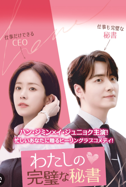 わたしの完璧な秘書 DVD  [並行輸入品]