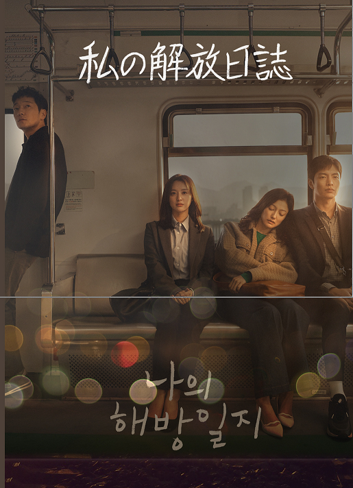 私の解放日誌 DVD  [並行輸入品]