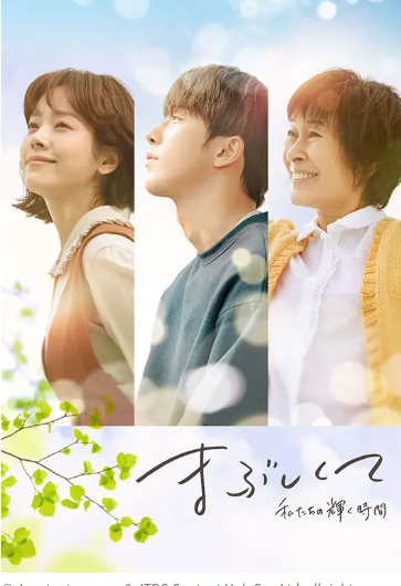 まぶしくて DVD  [並行輸入品]