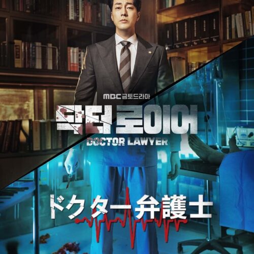 ドクター弁護士 DVD  [並行輸入品]