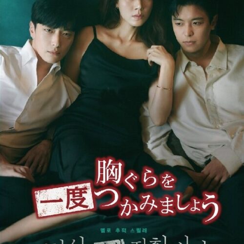 胸ぐらを一度つかみましょう 全話 DVD  [並行輸入品]