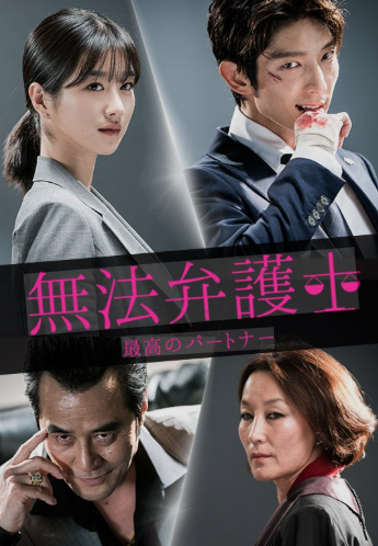 無法弁護士 DVD  [並行輸入品]