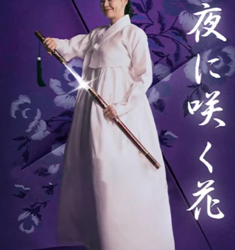 夜に咲く花 DVD  [並行輸入品]