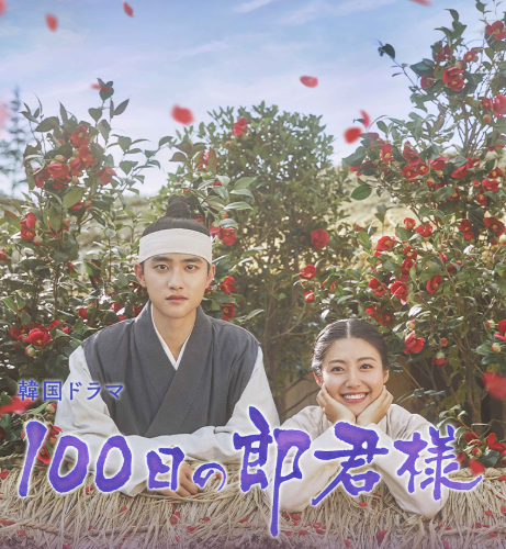 100日の郎君様 DVD  [並行輸入品]