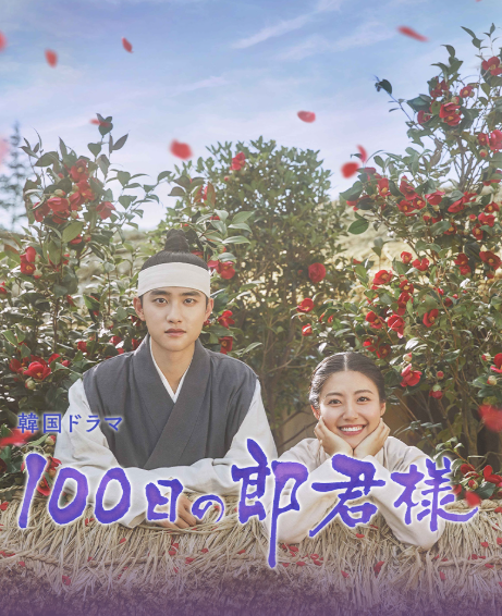 100日の郎君様 DVD  [並行輸入品]
