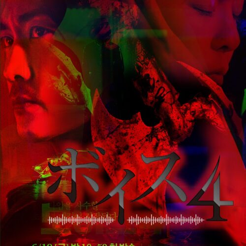 ボイス4 全話 DVD  [並行輸入品]