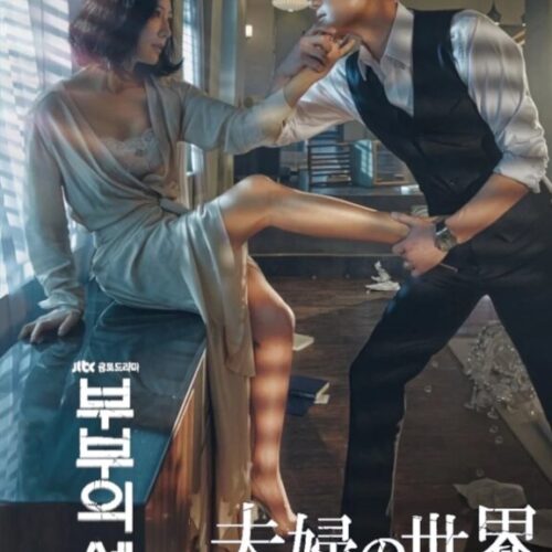 夫婦の世界 DVD  [並行輸入品]
