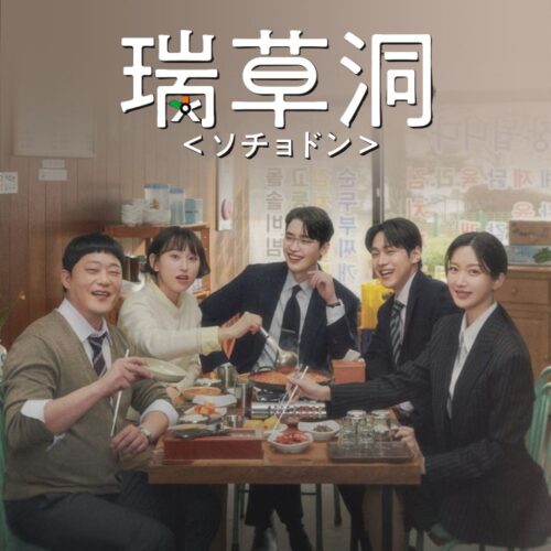 瑞草洞＜ソチョドン＞ 全話 DVD  [並行輸入品]