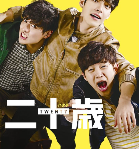 二十歳 全話 DVD  [並行輸入品]