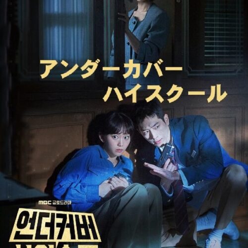 アンダーカバーハイスクール DVD  [並行輸入品]