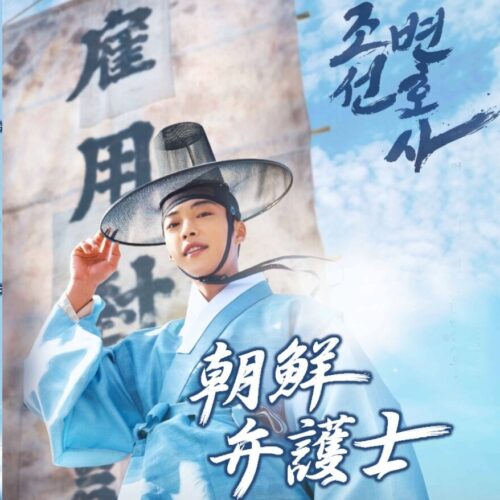 朝鮮弁護士 DVD  [並行輸入品]